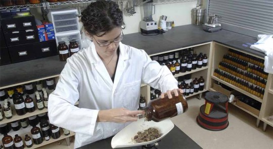 Фитотерапевт - Ваш врач на все времена