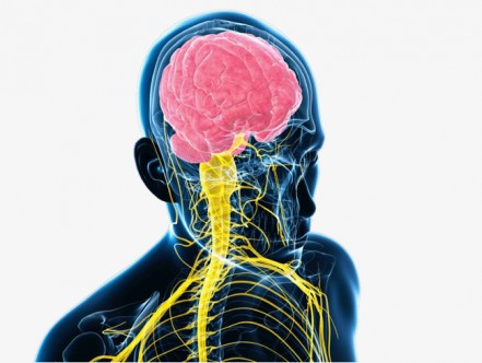 Бессонница