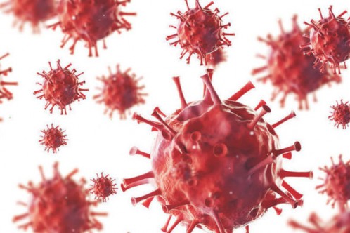 Коронавирус (Covid19)