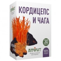 Кордицепс и Чага