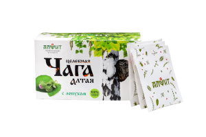 Чага Алтая с лопухом