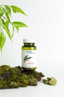 Монобрикет Эвкалипт