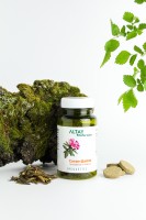 Монобрикет Саган-Дайля