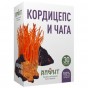Кордицепс и Чага