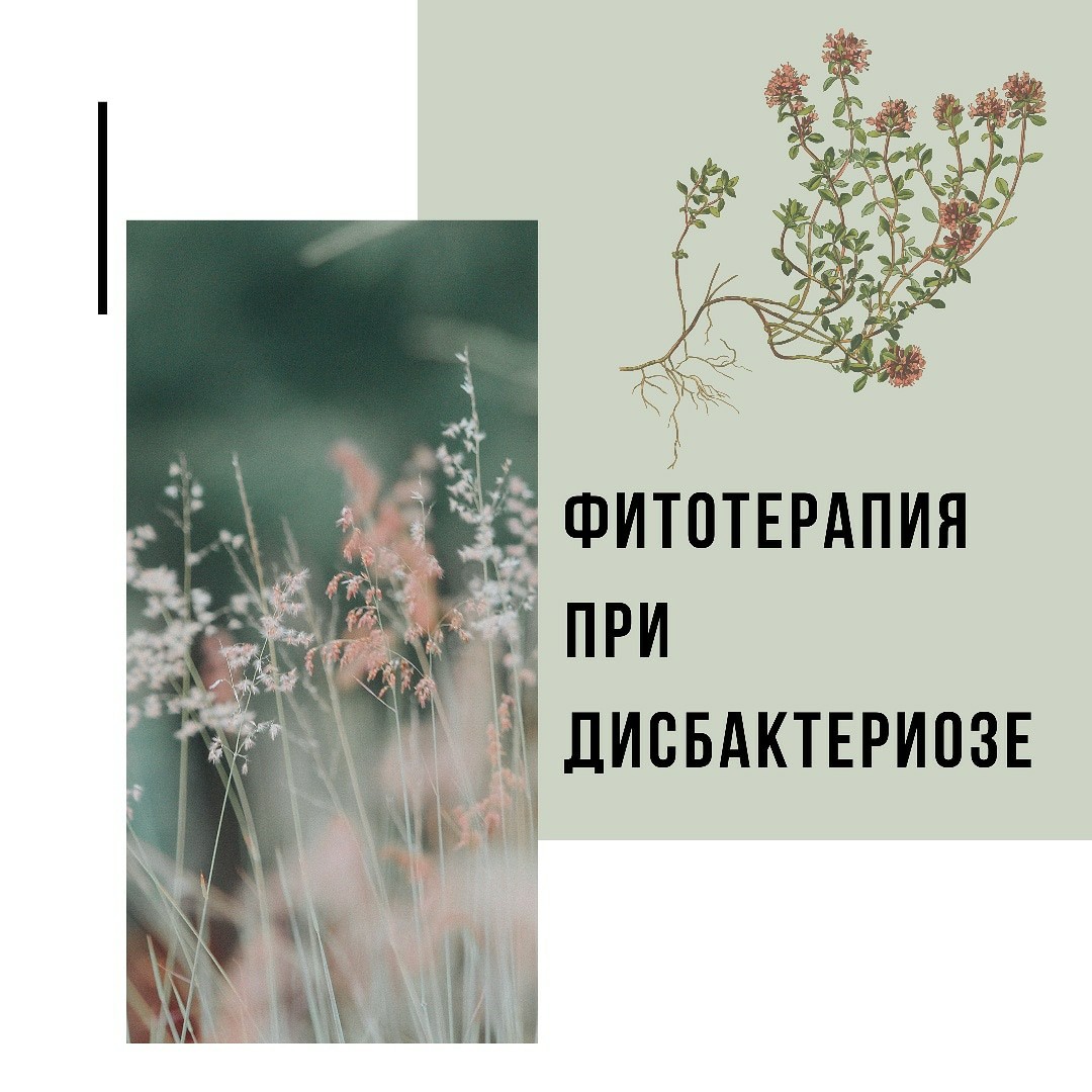 Дисбактериоз